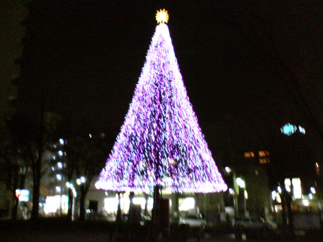 b0027009_0111262.jpg