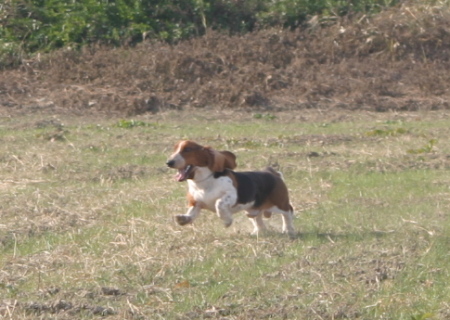 f0083013_1630156.jpg