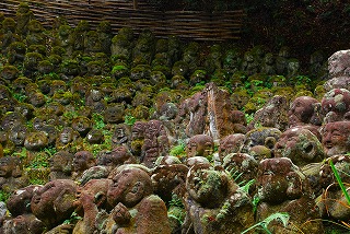 c0088418_21243772.jpg