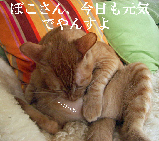 d0081025_20191735.jpg