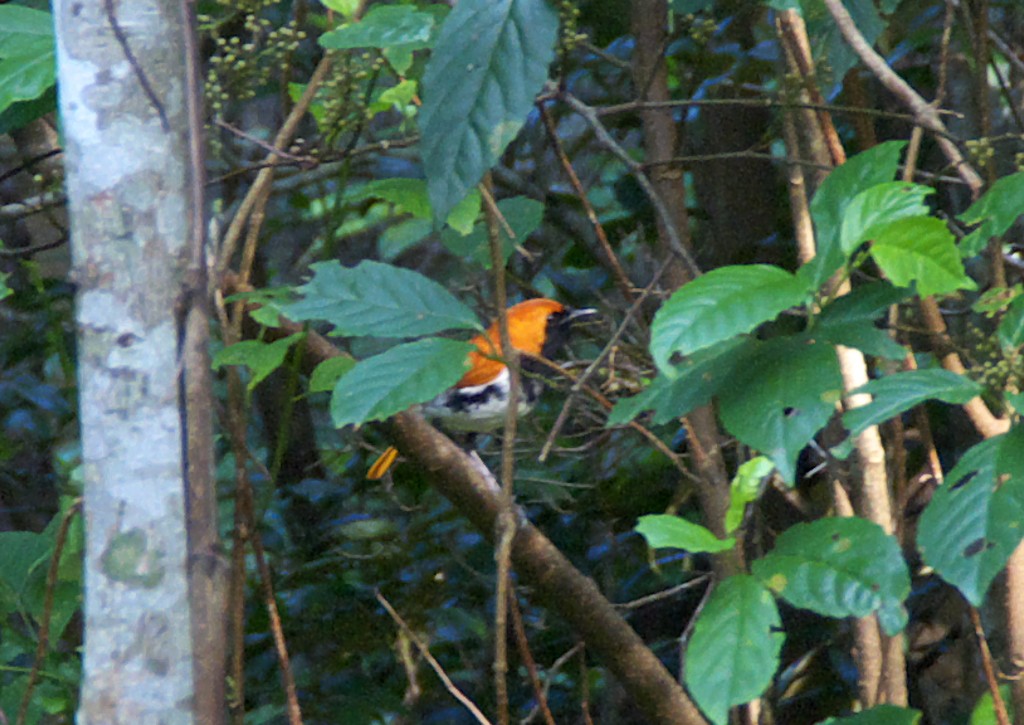 d0053930_634371.jpg