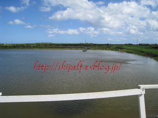 c0134734_15412187.jpg