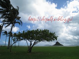 c0134734_1735430.jpg