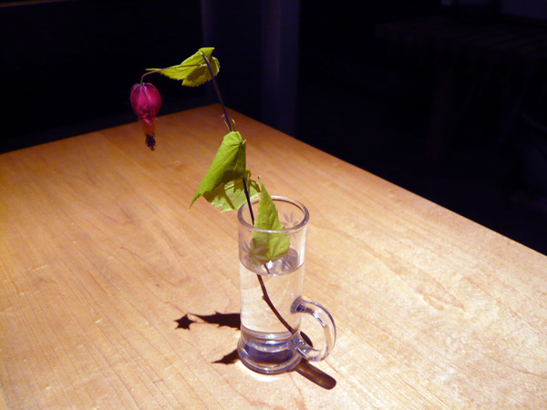 c0131544_059301.jpg
