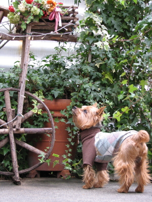 c0033145_22908.jpg