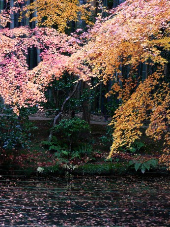 c0057946_19569100.jpg