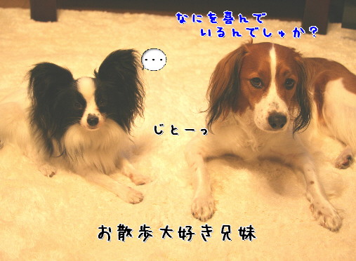 d0013149_1372936.jpg