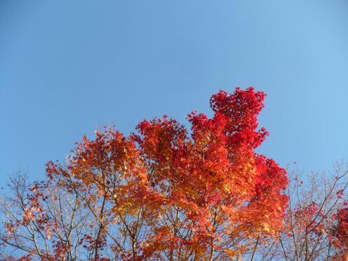 a0063364_18283390.jpg