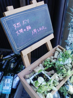 f0112873_23493421.jpg