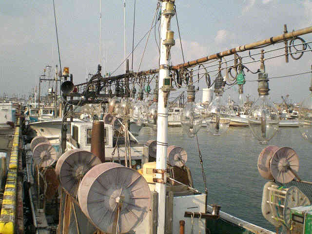 f0153475_16101539.jpg