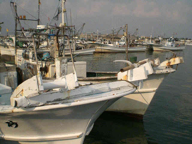 f0153475_16114885.jpg