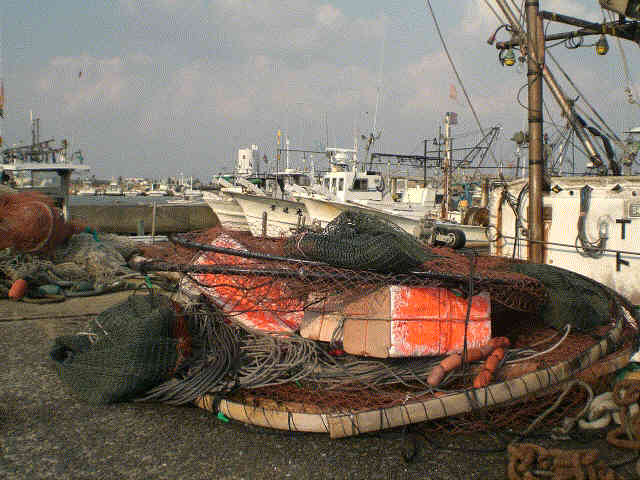 f0153475_1642858.jpg