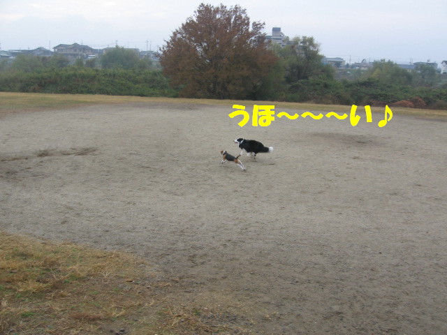 e0117976_12403984.jpg