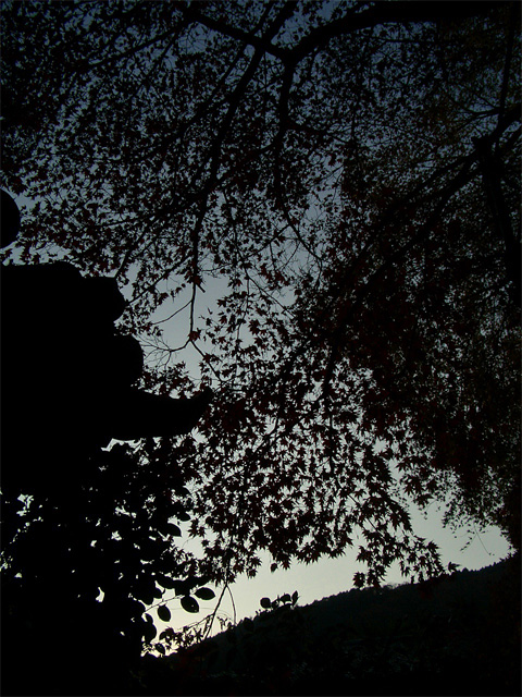 f0089079_0594761.jpg