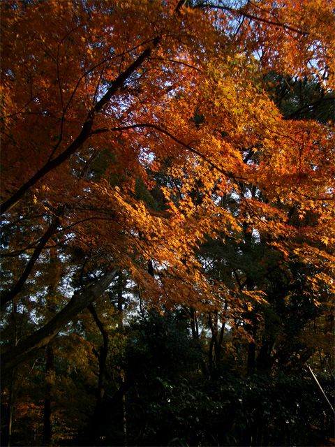 f0089079_103453.jpg