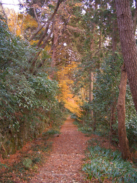 f0089079_174172.jpg