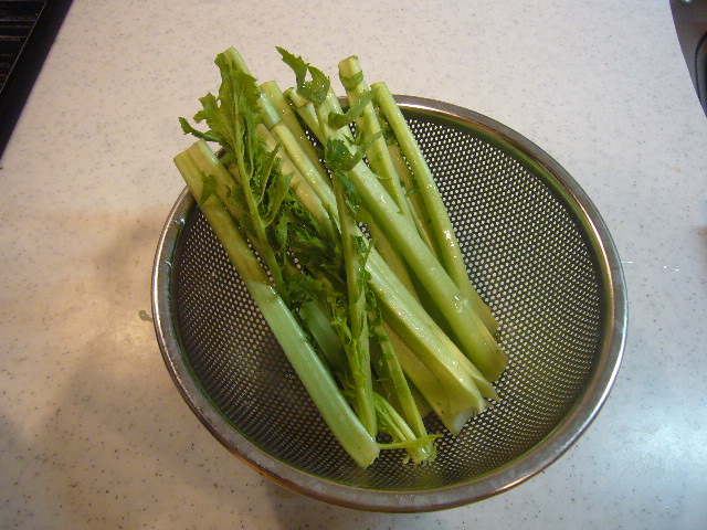 c0144082_10245249.jpg