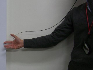 e0052088_1663897.jpg