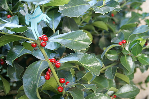 c0121289_7554193.jpg