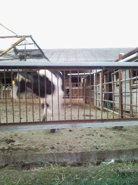 d0070094_20235732.jpg