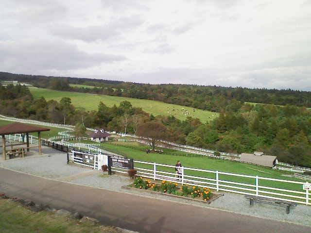 d0070094_20553850.jpg