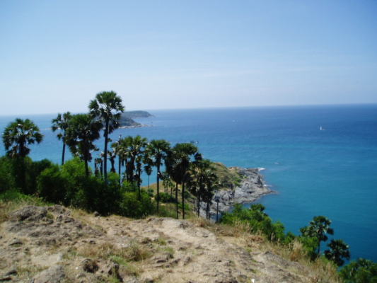 d0098396_1418713.jpg