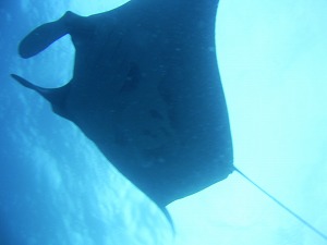d0098396_15261264.jpg