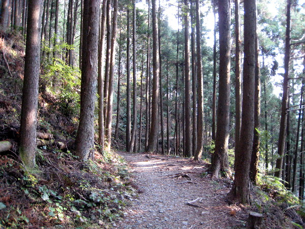 f0101997_1727858.jpg