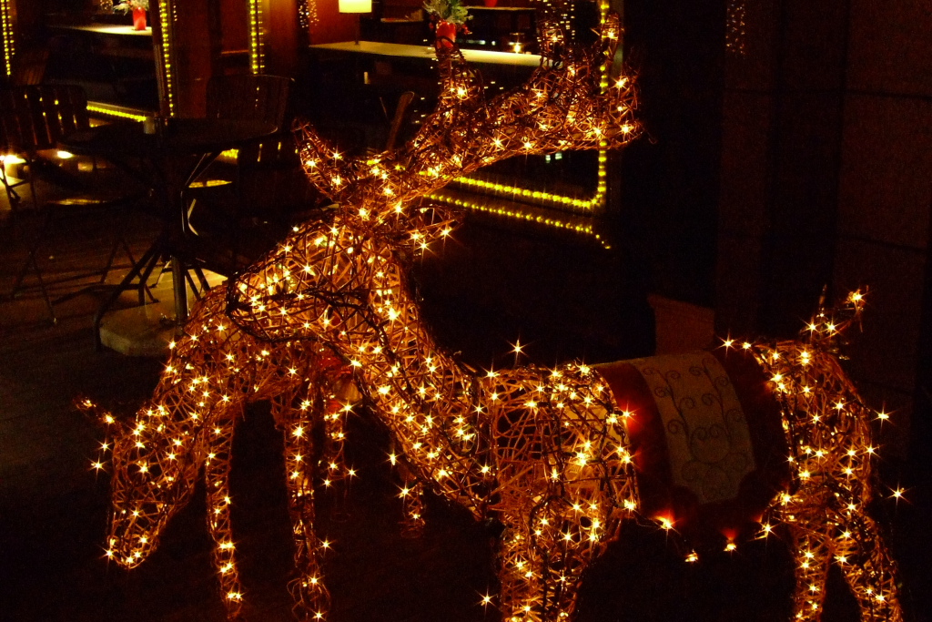 c0025498_035399.jpg