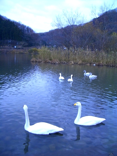 d0069498_17215845.jpg