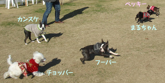 c0094999_18131815.jpg