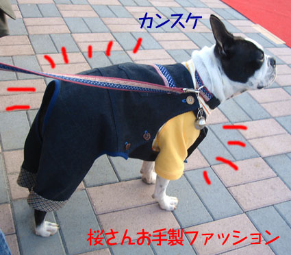 c0094999_1846451.jpg