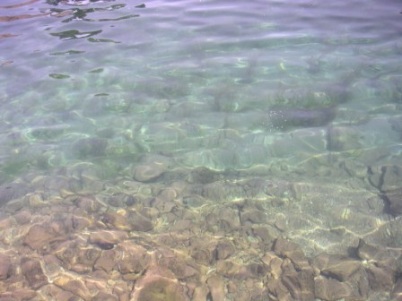 f0079502_23502471.jpg