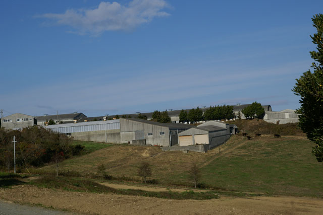 a0109207_1161198.jpg