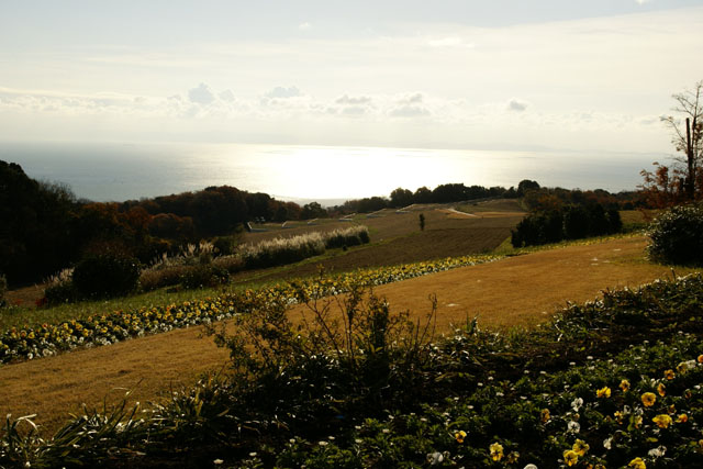 a0109207_1162845.jpg