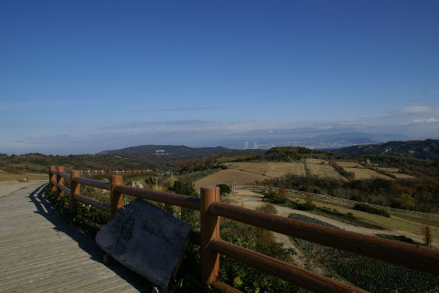 a0109207_1165296.jpg