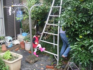 e0047610_9112742.jpg
