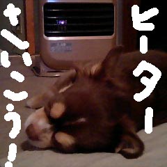 c0036617_17255100.jpg