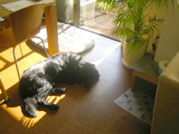c0012120_033541.jpg