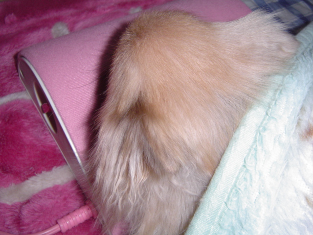 f0012924_3394491.jpg