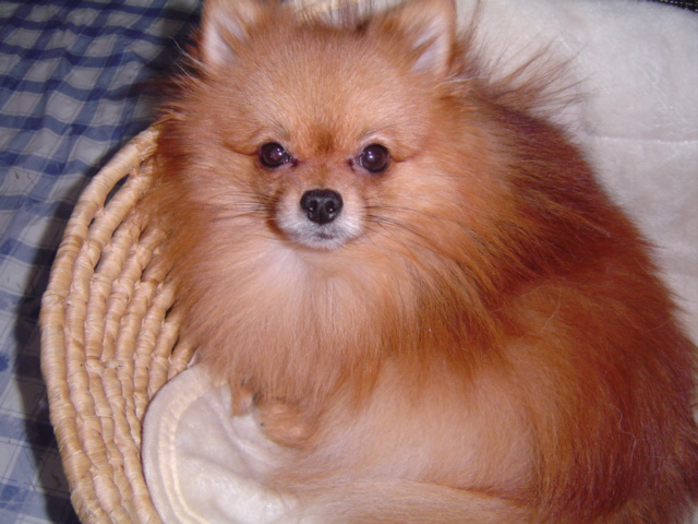f0012924_339478.jpg