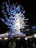 b0057825_22233877.jpg