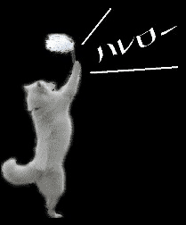 e0024126_20234549.gif