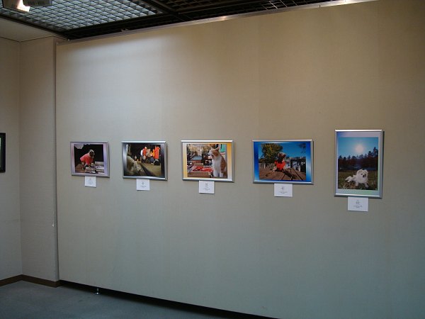 c0109827_16433770.jpg