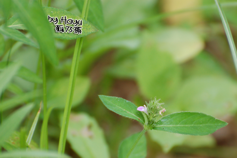 a0059328_2231754.jpg