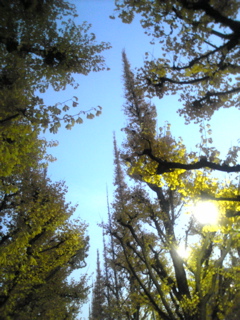 b0116928_14473072.jpg