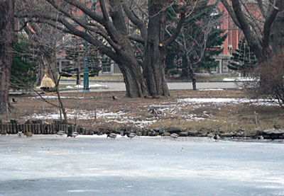 a0046429_2155613.jpg