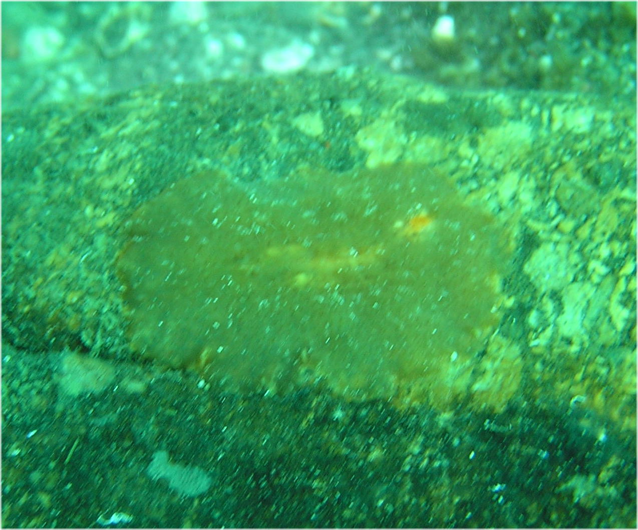 c0034029_2215875.jpg