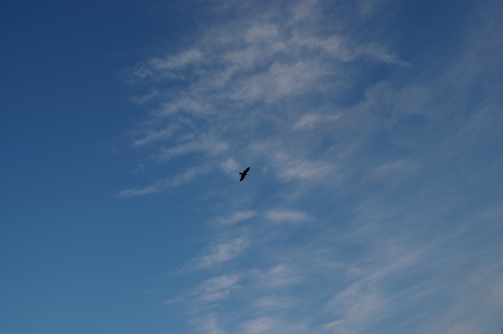 c0106831_21543133.jpg
