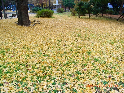 c0153732_2325059.jpg